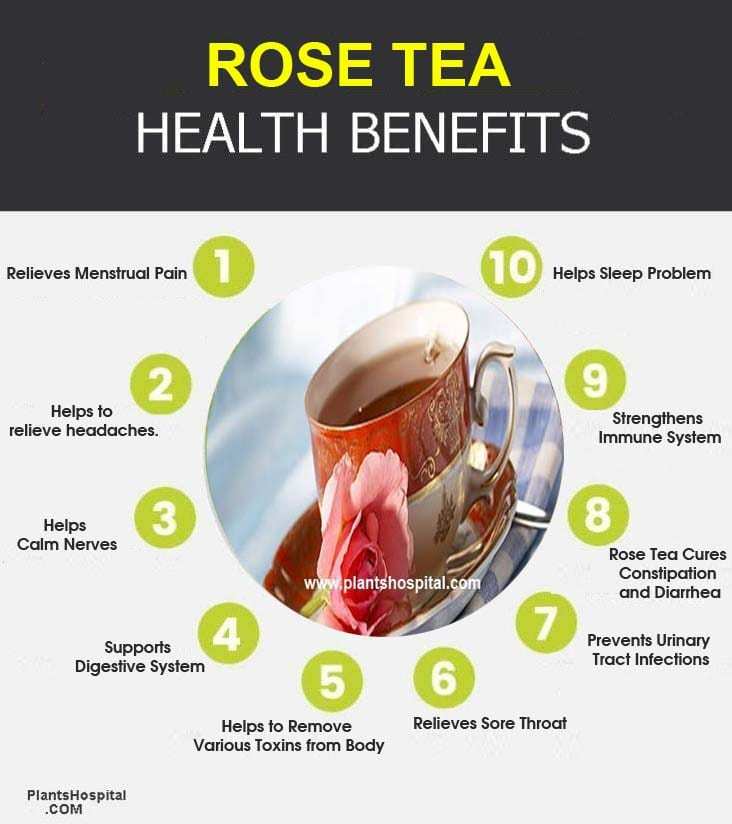 rose-tea-graphic